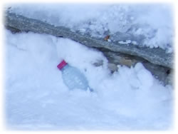 Litter in the snow