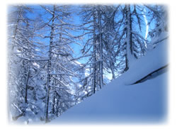 ethicSnow
